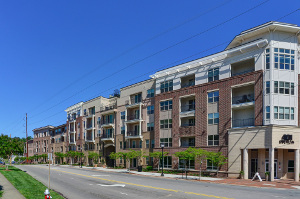 401 Oberlin